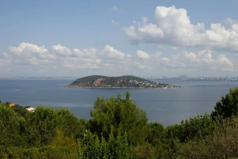 Vue panoramique depuis Büyükada, la plus grande île de l'archipel des Princes près d'Istanbul