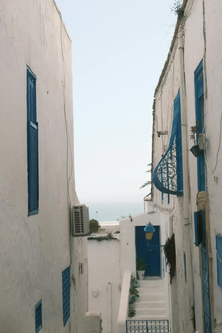 Ruelle blanche et bleue de Sidi Bou Saïd avec vue mer Méditerranée
