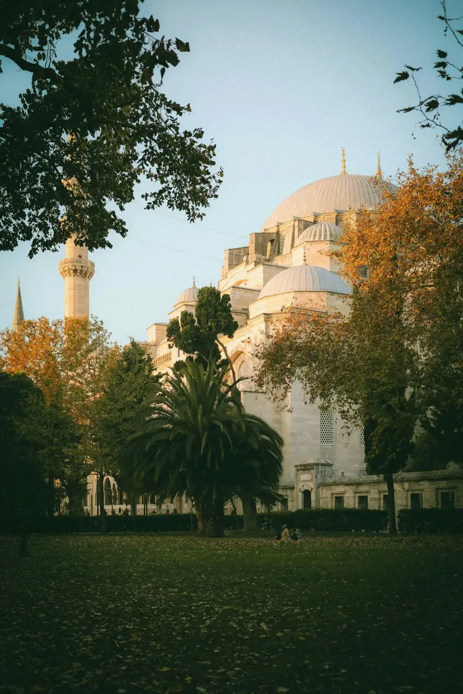 Mosquée Süleymaniye d'Istanbul entourée de feuillages d'automne dorés, lumière de fin de journée