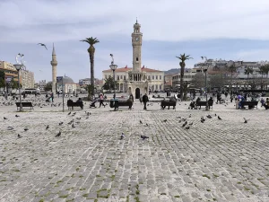Grande place pavée avec pigeons, palmiers et une tour de l'horloge ottomane au fond