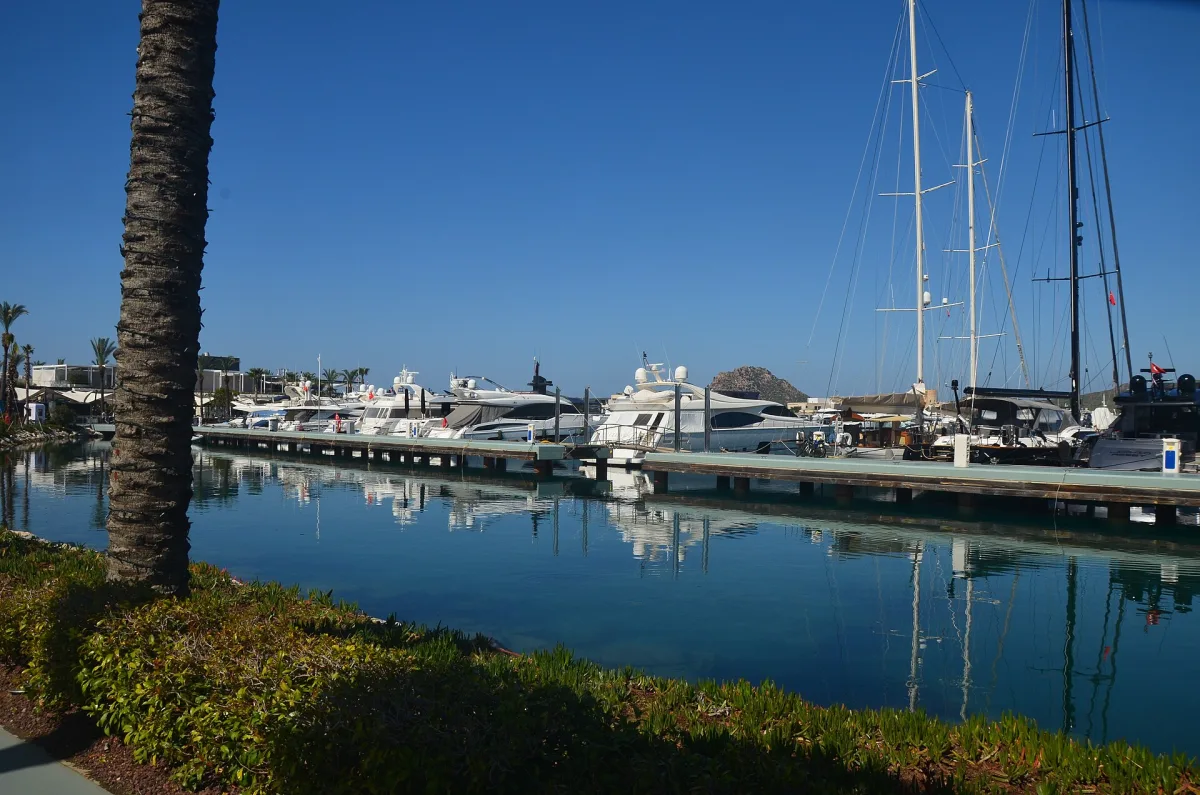 Yachts et grands voiliers amarrés le long de pontons en bois dans un port de plaisance bordé de palmiers