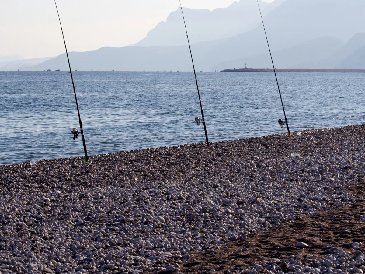 Galets clairs et roulés au premier plan, trois cannes à pêche plantées au bord de l'eau et montagnes bleutées à l'horizon