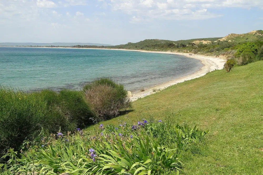 Vue de la crique d'Anzac Cove sur la péninsule de Gallipoli