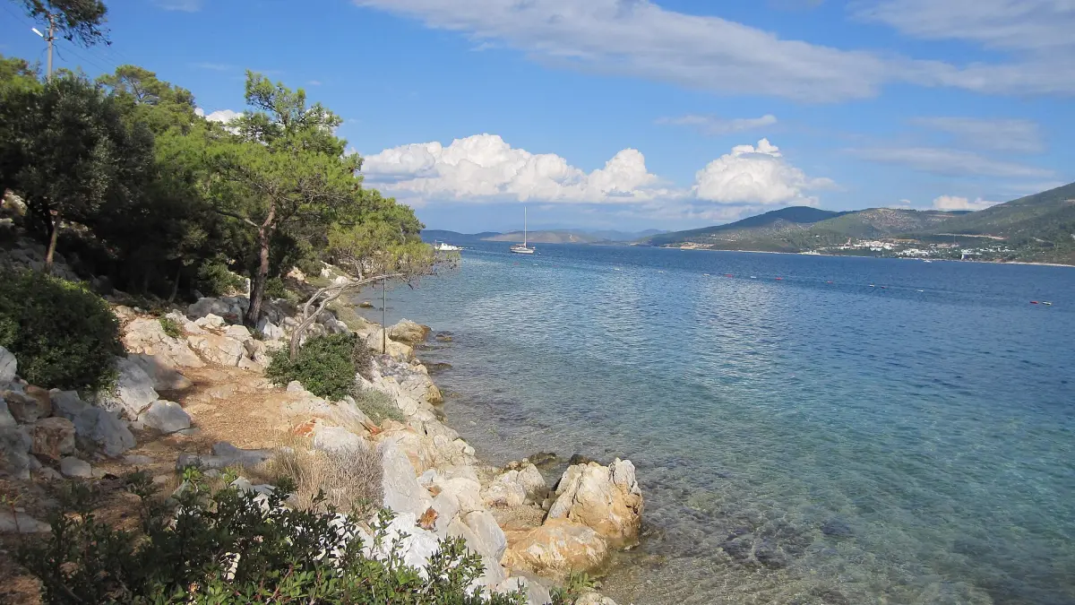 Baie et côte égéenne de la presqu'île de Bodrum bordée de pins