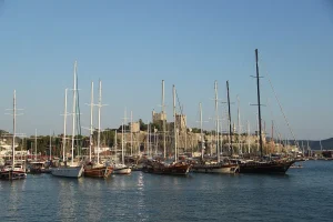 Goélettes en bois aux mâts alignés devant une forteresse en pierre