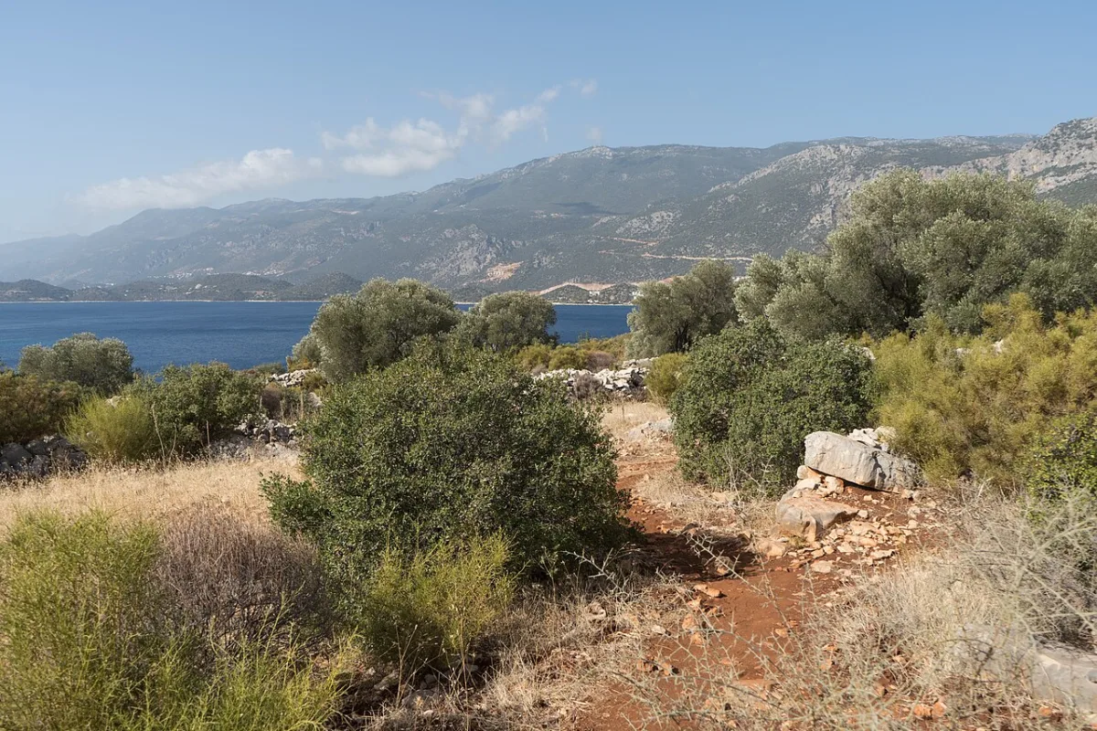 Sentier de terre rouge de la Voie lycienne serpentant dans le maquis au-dessus de la mer, près de Kaş