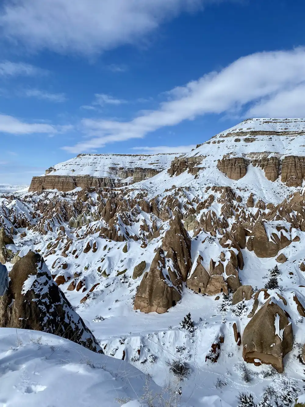 Vallée de Cappadoce couverte de neige près de Göreme en hiver